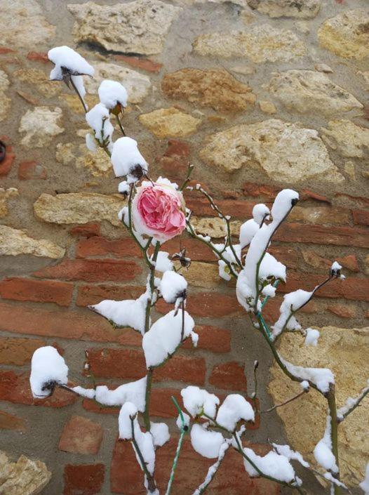 Willa Agriturismo Ardene Montepulciano Zewnętrze zdjęcie